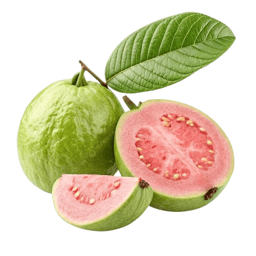 Guava